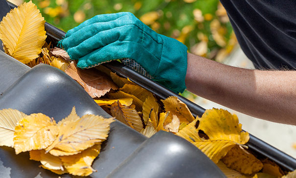Regular-gutter-cleaning-in-Surrey.jpg