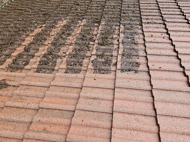 Soft washing for roofs